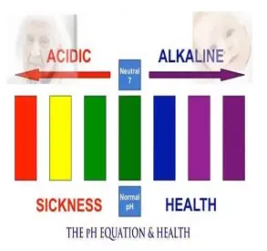 Acid vs Alkaline