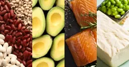types of protein