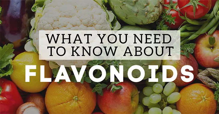 What You Need to Know About Flavonoids
