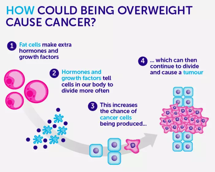Health Conditions - Obesity and Cancer
