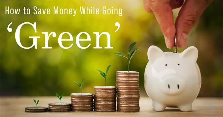 Save Money While Going Green