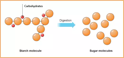 blood sugar molecules