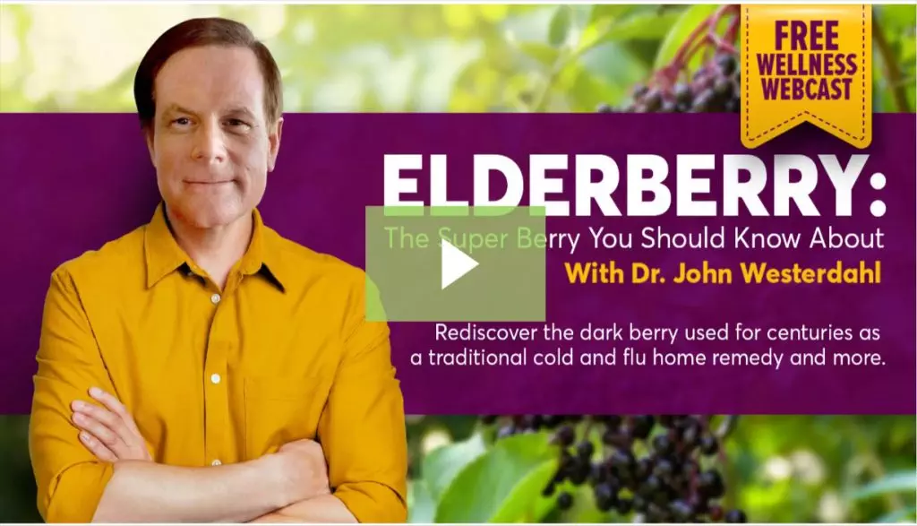 Elderberry the Super Berryy